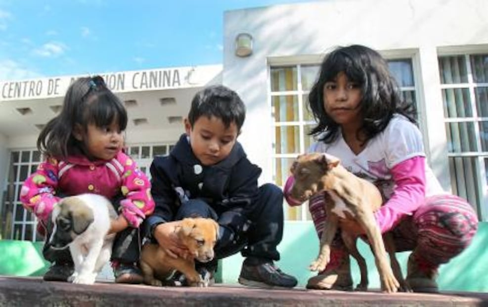 Centro de Atención Canina de Ecatepec salva vida de perros