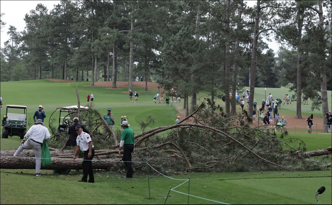 La caída de un árbol en el Masters de Augusta ocasionó el terror entre los aficionados presentes / FOTO: EFE