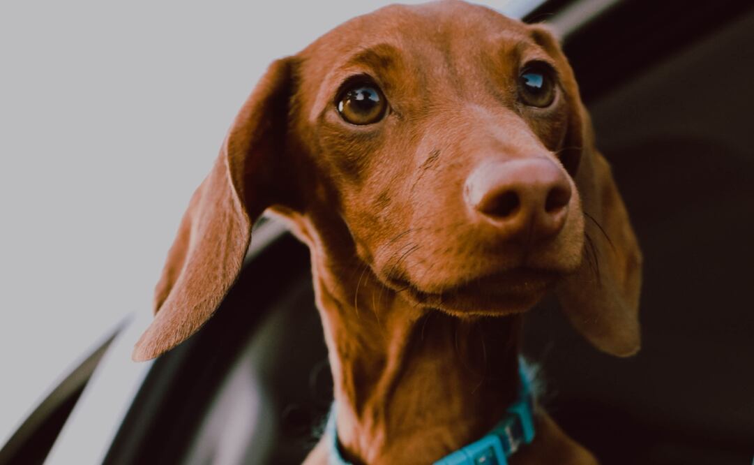 Unsplash. Autor: Ja San Miguel