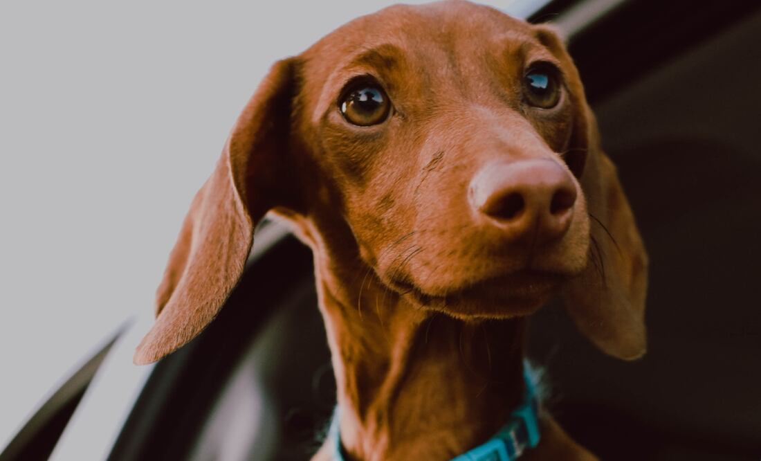 Unsplash. Autor: Ja San Miguel