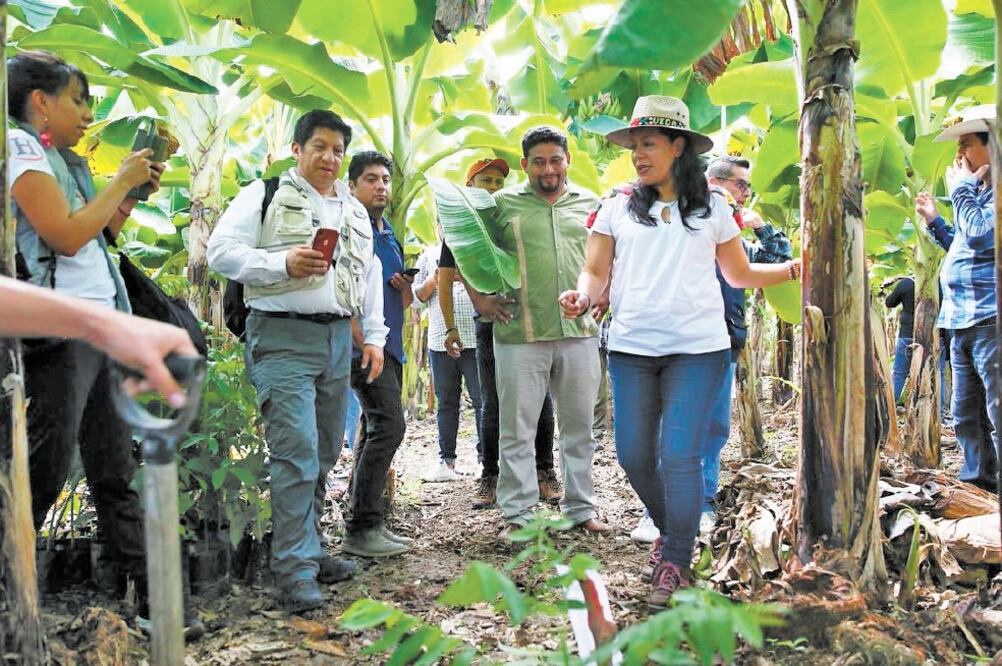 María Luisa Albores, titular de la Secretaría de Bienestar, celebró un año de la aplicación de Sembrando Vida. Foto/ESPECIAL
