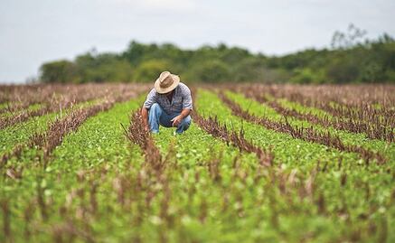 La humanidad consume más de lo que la Tierra puede renovar en un año