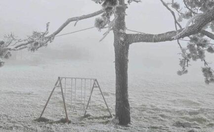 Más de 200 personas son atendidas en refugios de Tamaulipas; onda gélida azota al estado