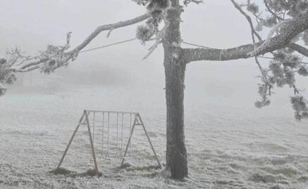 Más de 200 personas son atendidas en refugios de Tamaulipas; onda gélida azota al estado 