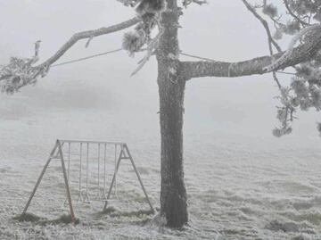 Más de 200 personas son atendidas en refugios de Tamaulipas; onda gélida azota al estado