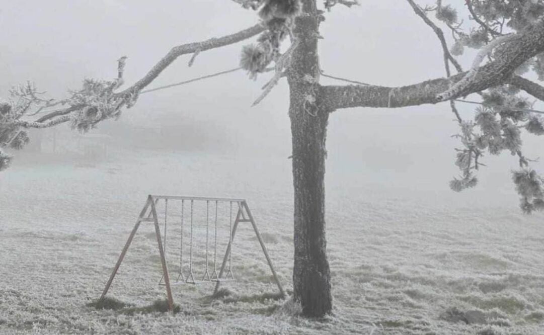 Hasta el mediodía del martes, en los refugios habilitados en la entidad se habían recibido 202 personas, debido a la onda gélida. (21/01/2025) Foto: Especial