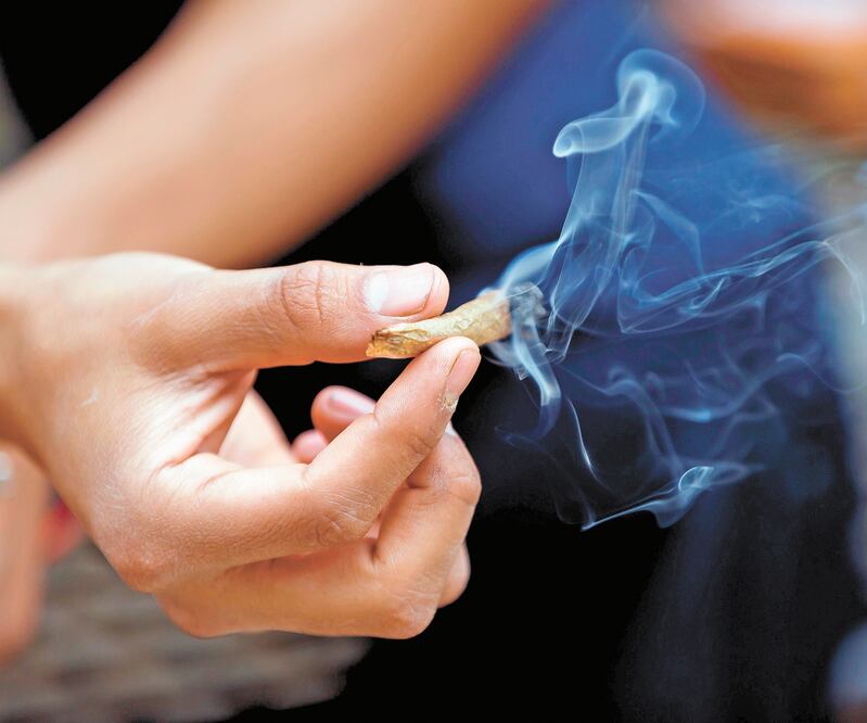 Pese a que la Suprema Corte de Justicia ordenó regular la marihuana, en el Senado no se han alcanzado los acuerdos. Foto: ARCHIVO EL UNIVERSAL