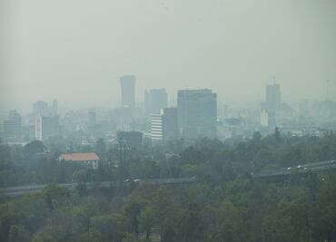 Remiten a 88 autos por no respetar restricciones por Contingencia