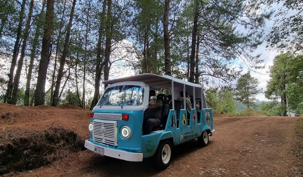 Foto: México Verde Tours