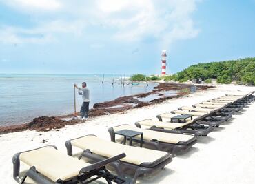 Buscan combatir plaga de sargazo de forma regional