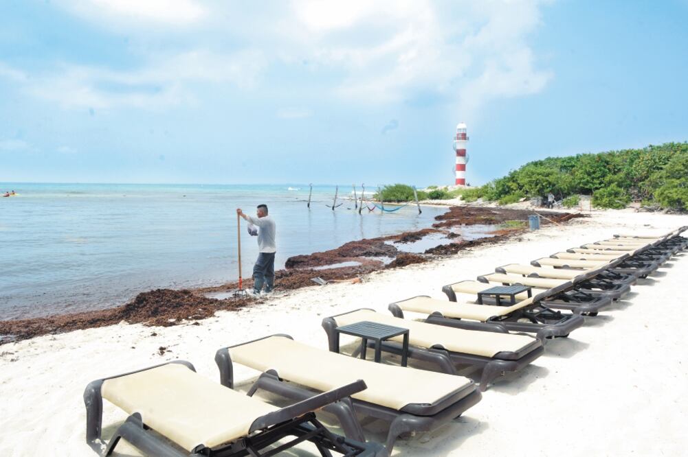 Autoridades de Quintana Roo y el sector turístico de la región coinciden en que el recale masivo de sargazo es un problema grave. Foto: CORTESÍA