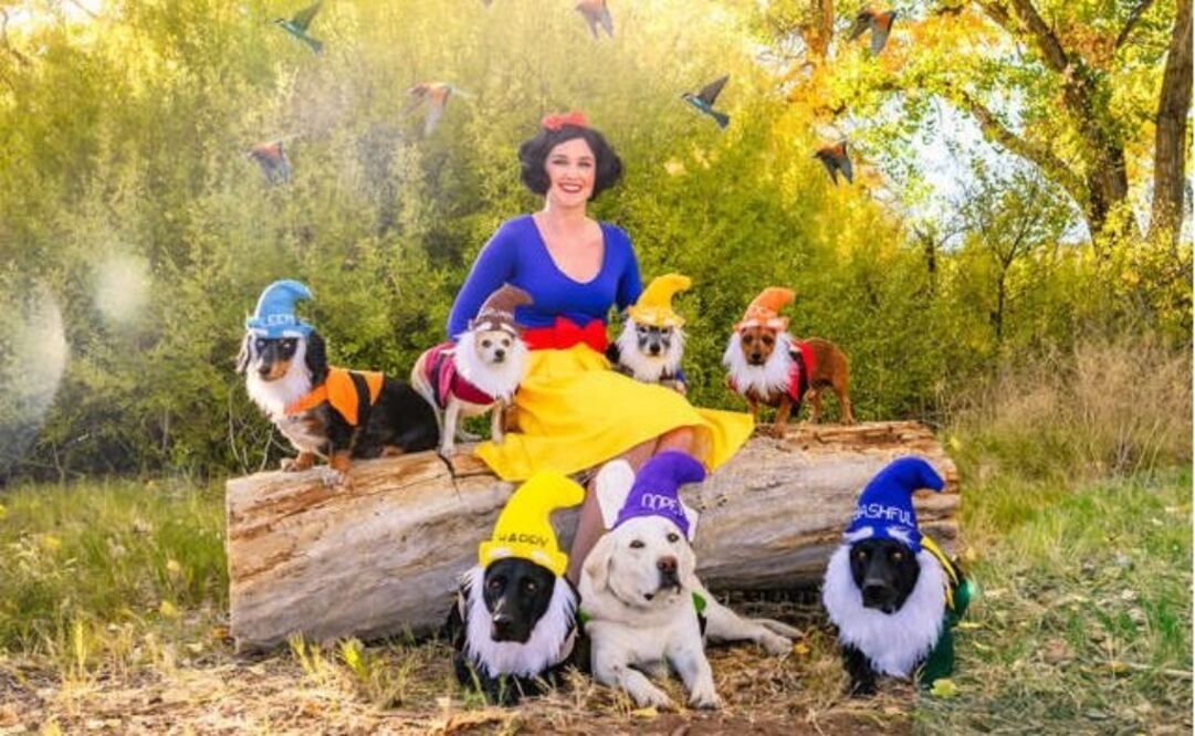 Esta es una de las ideas más tiernas para Halloween más tierna que verás hoy / Foto: Instagram @fourleggedescapades