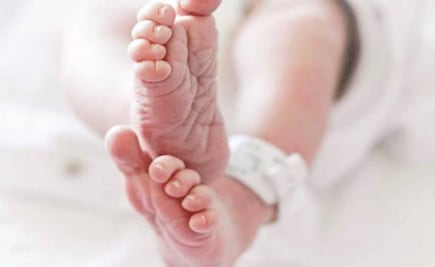 Hallan cuerpos de dos bebés en centro de reciclaje de Nueva Jersey