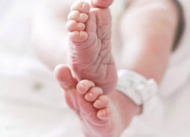 Hallan cuerpos de dos bebés en centro de reciclaje de Nueva Jersey