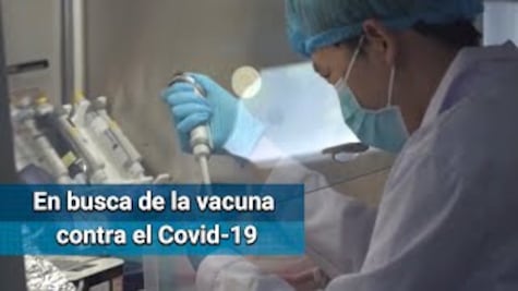 Los caminos que se siguen para llegar a la vacuna contra el Covid-19