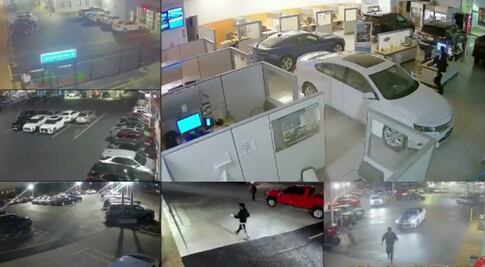 Saqueadores roban autos de agencia en EU