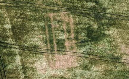 Granjero ayuda a descubrir una villa tan grande como el Palacio de Buckingham