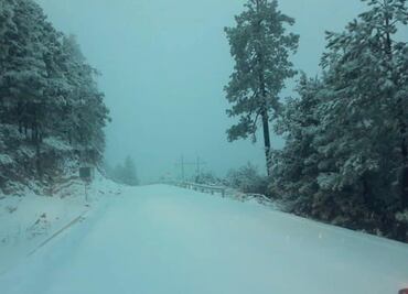 Cae nieve en tres municipios de Durango
