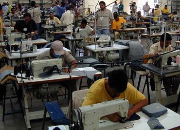 Dará STyFE 80 apoyos a cooperativas