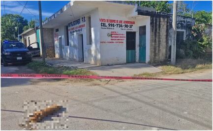 Denuncian envenenamiento de siete perritos en Yucatán; Fiscalía investiga los hechos