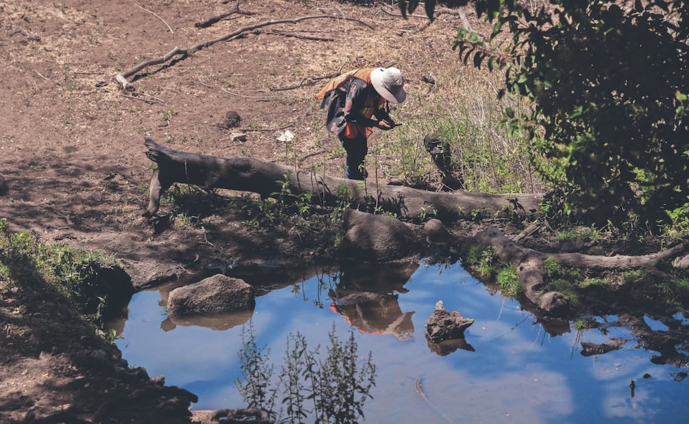 Un grupo de 35 especialistas trabajaron de manera voluntaria para preservar la memoria de las especies que habitan el cerro Cuchumá. Foto: Aimee Melo/ EL UNIVERSAL