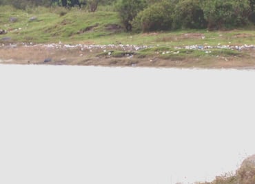 Vecinos denuncian pestilencia en zonas cercanas a presa Madín