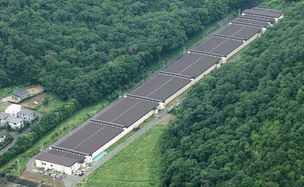 Tres heridos y un detenido por tiroteo en un campo del ejército de Japón