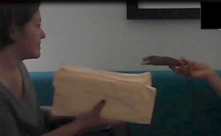 Fight against electoral offenses