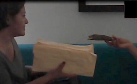 Fight against electoral offenses