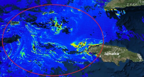 Mancha de sargazo amenaza costas de Quintana Roo