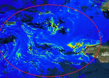 Mancha de sargazo amenaza costas de Quintana Roo