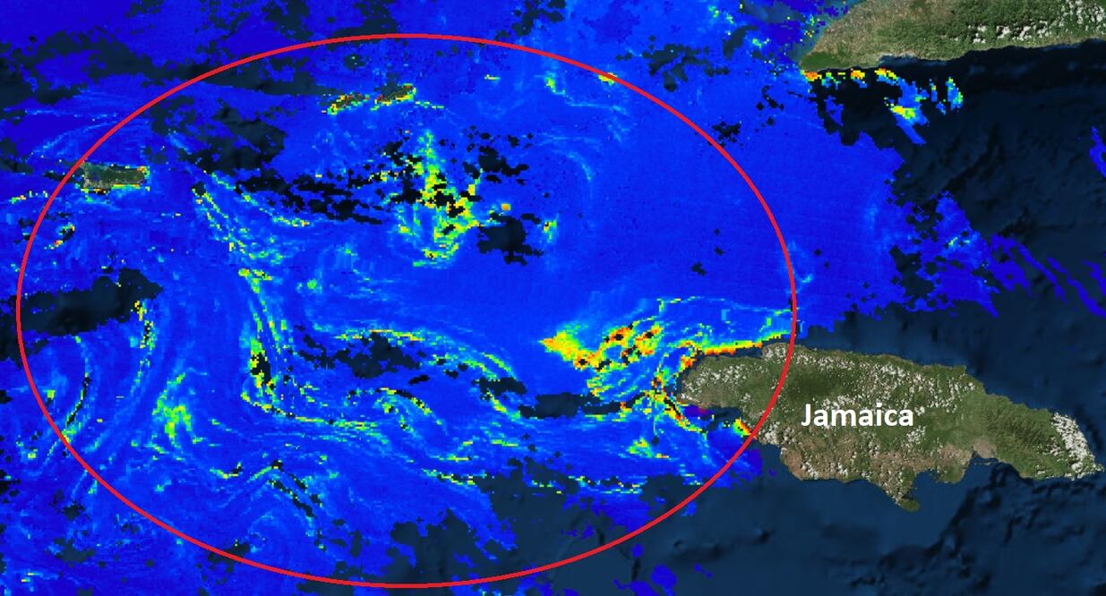 FOTO: La Red de Monitoreo del Sargazo Cancún