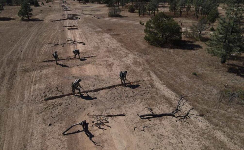 La pista clandestina era de aproximadamente 600 metros de longitud (10/11/2025). Foto: Especial