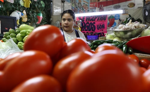Sheinbaum explica a qué se debe el aumento del precio del jitomate y chile en México; asegura que van a la baja