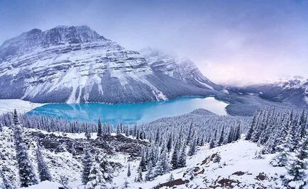 Entérate. Lo que necesitas saber del nuevo documento para ir a Canadá