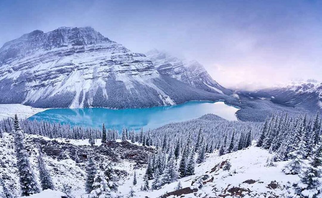 Foto: Archivo EL UNIVERSAL