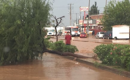 Segob emite declaratoria de emergencia para Sonora por lluvias