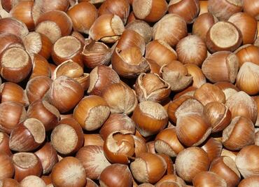 Estos son los beneficios de incluir avellanas en tu dieta