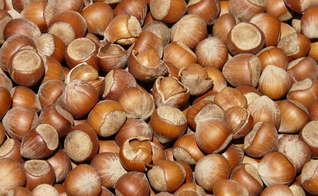 Beneficios de las avellanas. Foto: Pexels