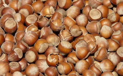 Estos son los beneficios de incluir avellanas en tu dieta