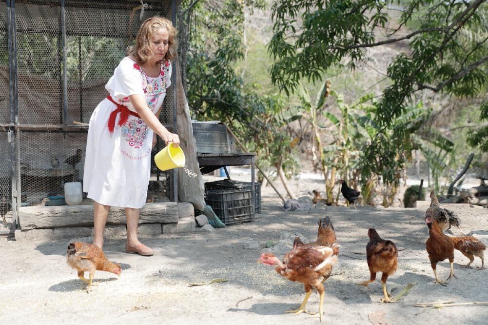 En la tranquilidad de su hogar, doña Luz comenta que los viajes a escondidas que hacía a las reuniones con los autodefensas fueron financiados por ella misma y sus hijos, ya que vivían bajo el yugo de Los Templarios. (IVÁN STEPHANS. EL UNIVERSAL)