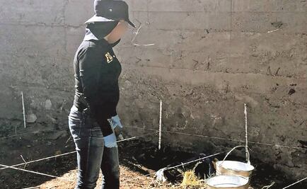 Hallan fosas clandestinas en viviendas de Chihuahua