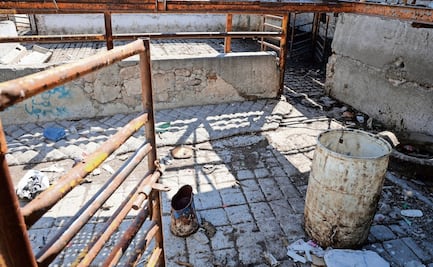 Entre roedores operaba el rastro local de Ecatepec