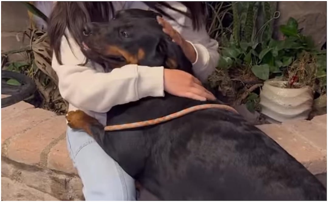 Luego de una denuncia, rescatan a tres caninos que sufrían maltrato animal en domicilio de Hidalgo. Foto: Especial