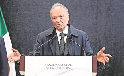 Faltas invalidan resolución sobre Gertz: académicos