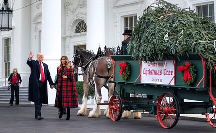 Por primera vez, Donald Trump recibe árbol de Navidad de la Casa Blanca