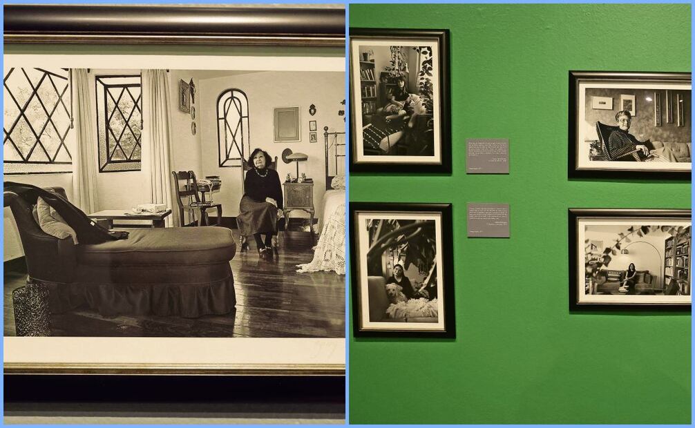 Barry Domínguez ofrece un acercamiento a las escritoras en sus espacios, en medio de sus ambientes de creación o de la vida diaria. Fotos: Gabriel Pano | El Universal (14/01/2025)