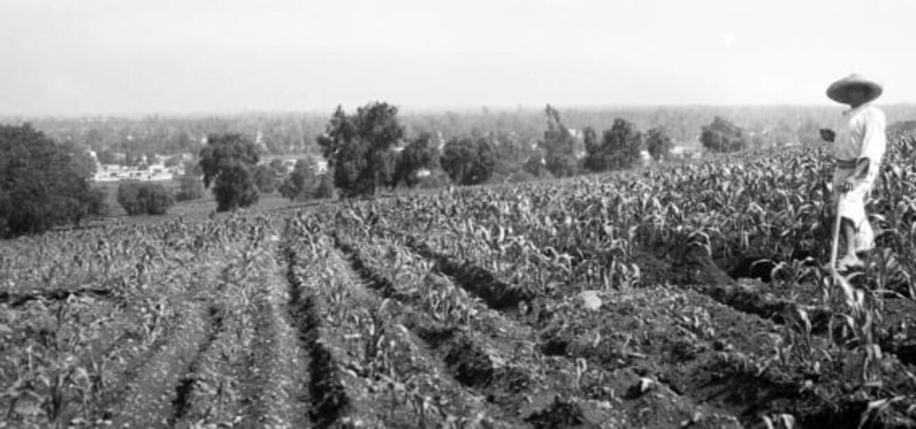 Ermita-Iztapalapa, la calzada por donde entró Hernán Cortés a Tenochtitlán