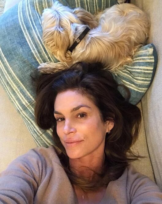 Cindy Crawford compartió imagen en compañía de su mascota. Foto: Instagram