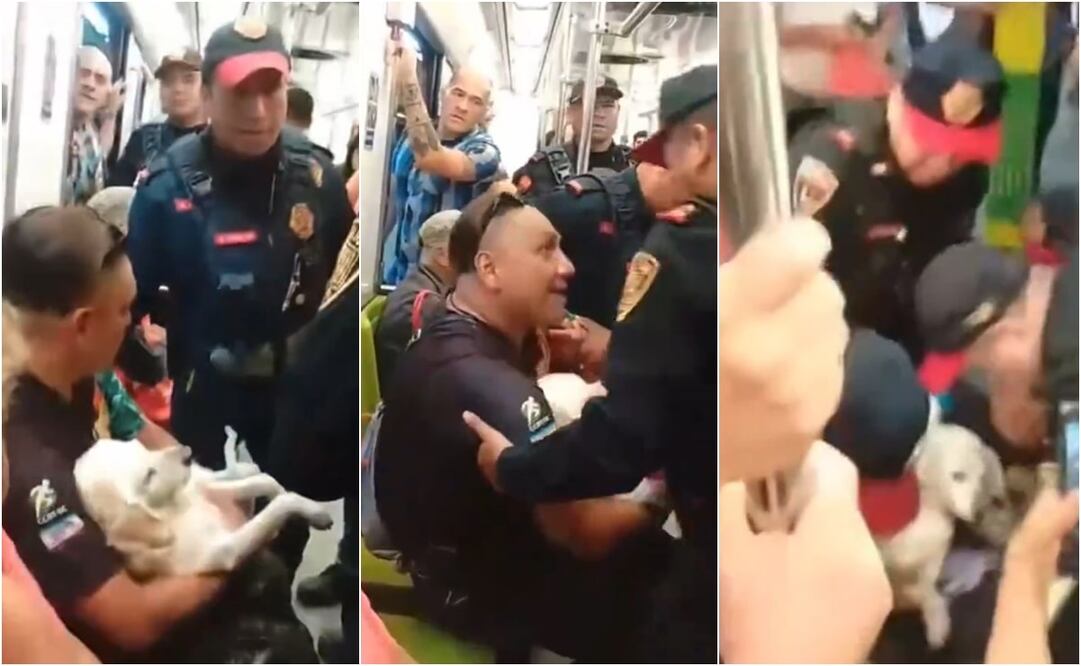 Tras una serie de jaloneos, los uniformados consiguieron bajar al hombre con su lomito herido; no obstante, se llevaron los silbidos de los pasajeros. Foto: X